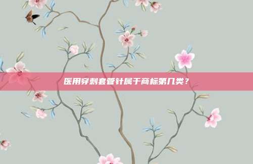 医用穿刺套管针属于商标第几类？