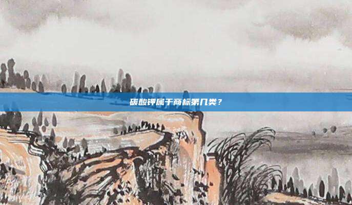碳酸钾属于商标第几类？