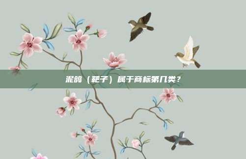 泥鸽（靶子）属于商标第几类？