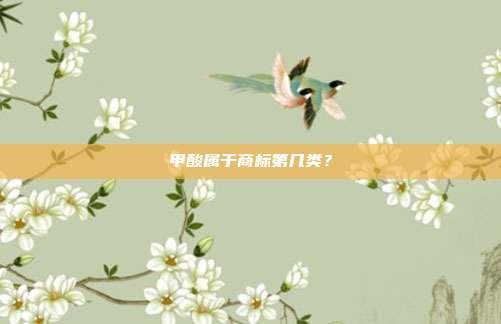 甲酸属于商标第几类？