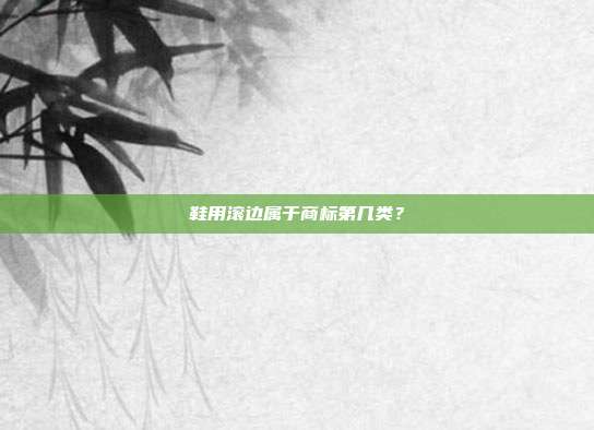 鞋用滚边属于商标第几类？