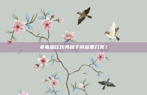 非电加压炊具属于商标第几类？