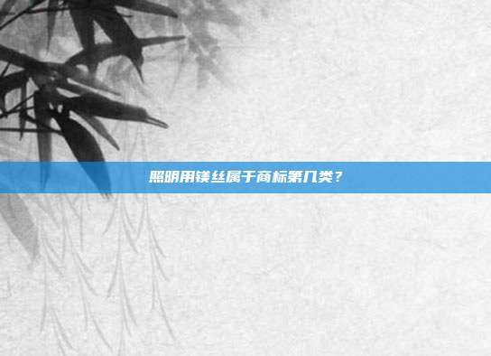 照明用镁丝属于商标第几类？