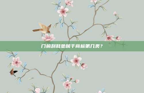 门前刮鞋垫属于商标第几类?