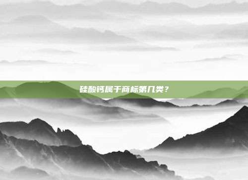 硅酸钙属于商标第几类?