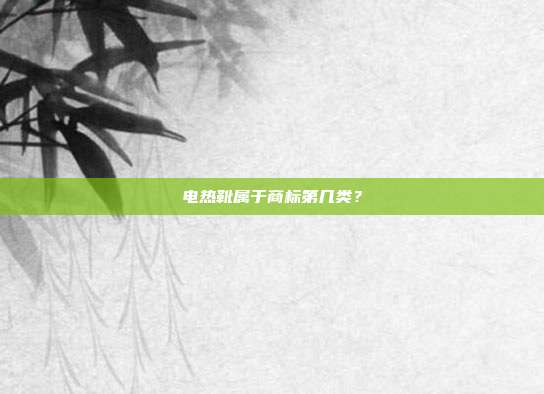 电热靴属于商标第几类?