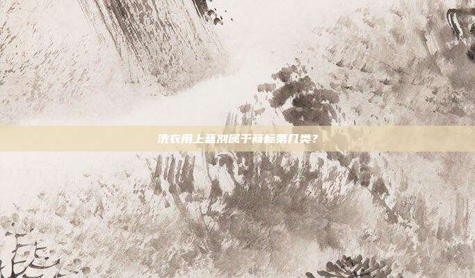 洗衣用上蓝剂属于商标第几类？