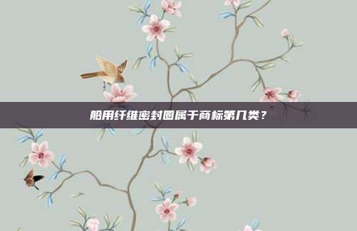 船用纤维密封圈属于商标第几类?