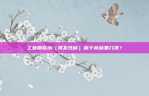 工业用氨水(挥发性碱)属于商标第几类?