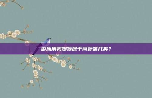 游泳用鸭脚蹼属于商标第几类?