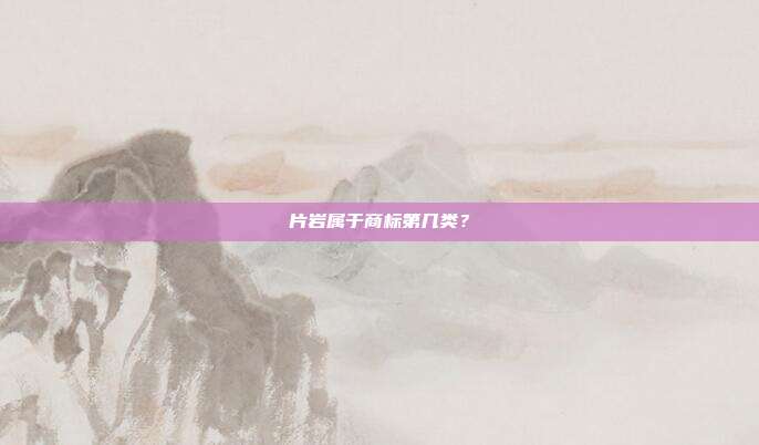 片岩属于商标第几类？
