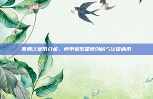 商标法案例分析,典型案例深度剖析与法律启示