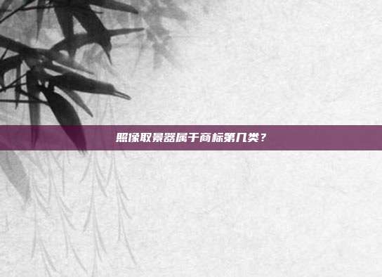 照像取景器属于商标第几类？