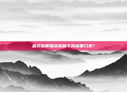 盒式磁带播放机属于商标第几类？