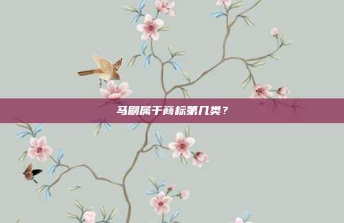 马刷属于商标第几类？