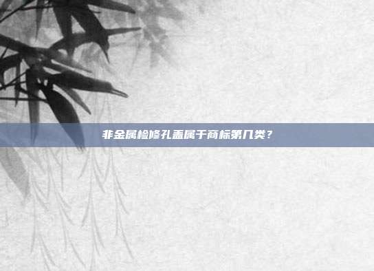 非金属检修孔盖属于商标第几类？