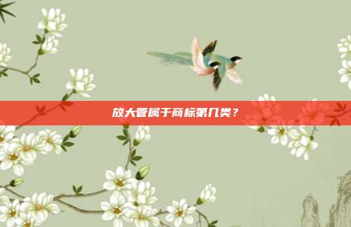 放大管属于商标第几类？