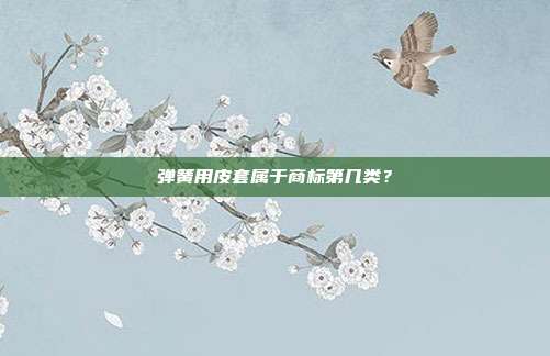 弹簧用皮套属于商标第几类?