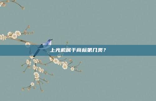 上光机属于商标第几类？