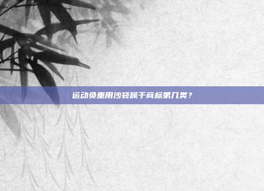 运动负重用沙袋属于商标第几类?