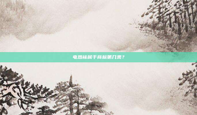 电热袜属于商标第几类?