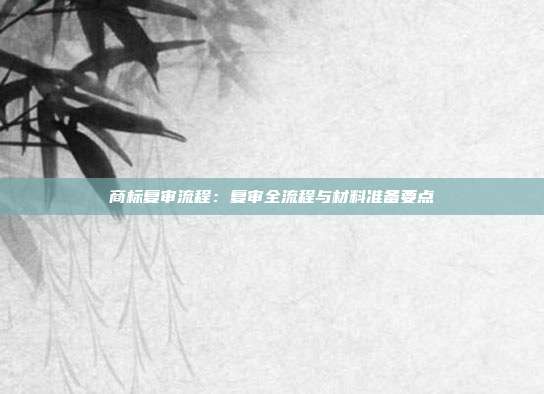 商标复审流程：复审全流程与材料准备要点