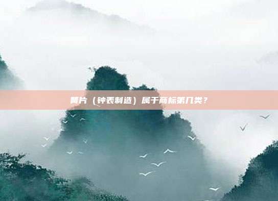 簧片（钟表制造）属于商标第几类？