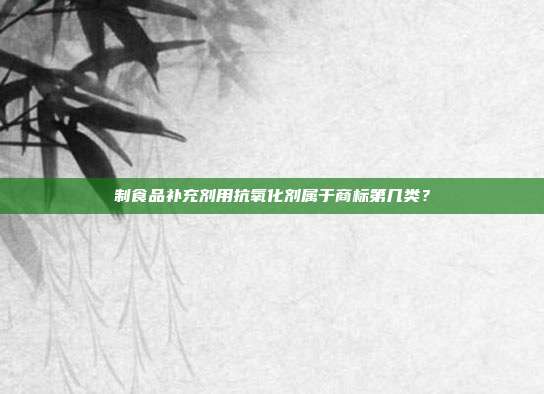 制食品补充剂用抗氧化剂属于商标第几类？