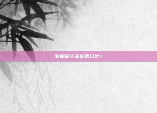 驳船属于商标第几类？