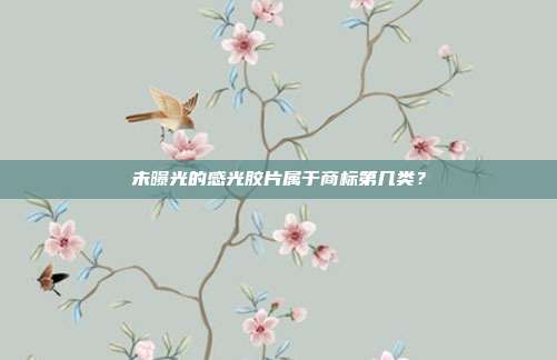 未曝光的感光胶片属于商标第几类？