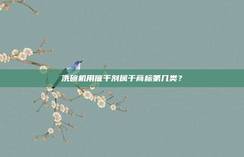 洗碗机用催干剂属于商标第几类？