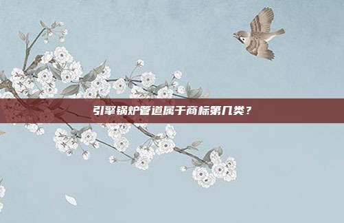 引擎锅炉管道属于商标第几类？