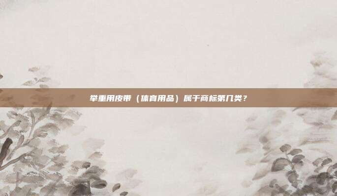 举重用皮带（体育用品）属于商标第几类？