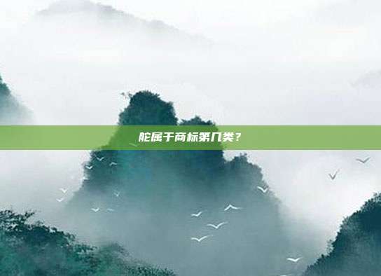 舵属于商标第几类？