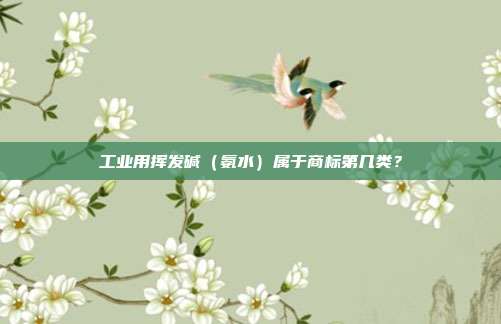 工业用挥发碱（氨水）属于商标第几类？