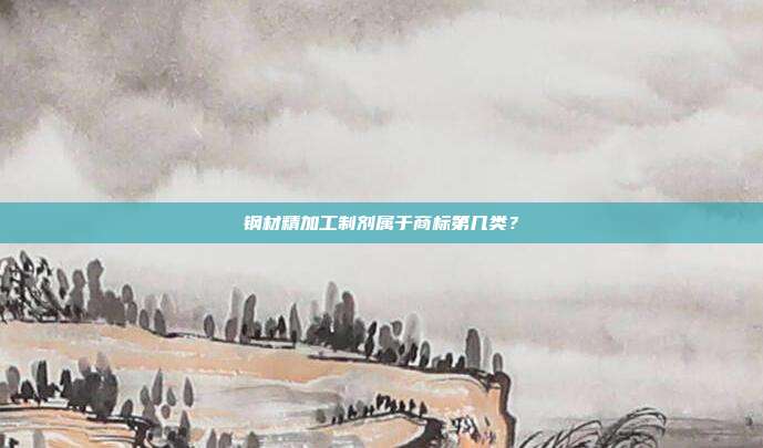 钢材精加工制剂属于商标第几类？