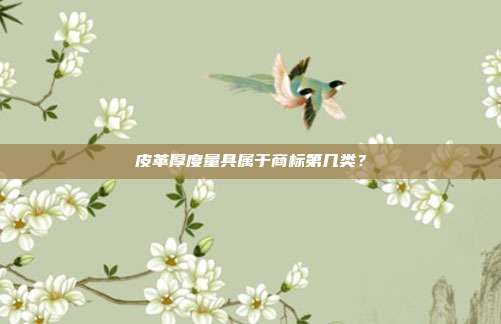 皮革厚度量具属于商标第几类？