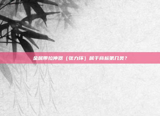 金属带拉伸器（张力环）属于商标第几类？