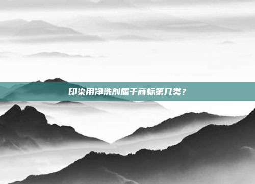 印染用净洗剂属于商标第几类？