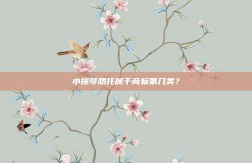 小提琴腮托属于商标第几类？