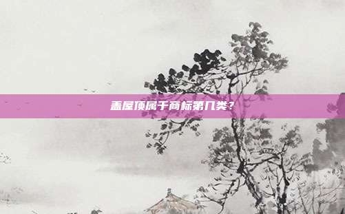 盖屋顶属于商标第几类?