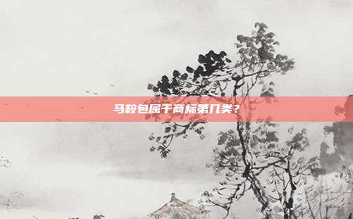 马鞍包属于商标第几类?