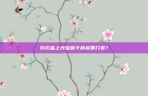 纺织品上光皂属于商标第几类?