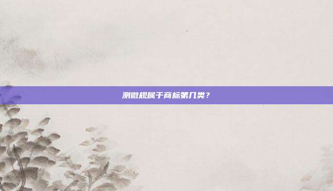 测微规属于商标第几类？