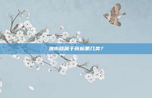 滑水橇属于商标第几类？