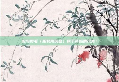 鸵鸟羽毛（服装附属品）属于商标第几类？