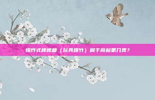 爆炸式棒棒糖（玩具爆竹）属于商标第几类？