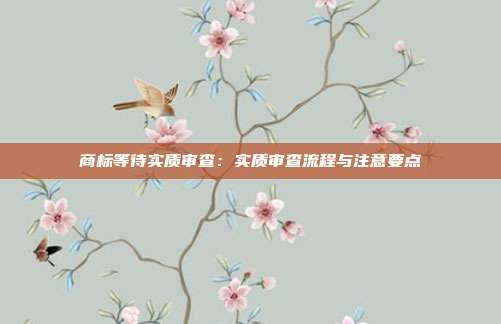 商标等待实质审查:实质审查流程与注意要点