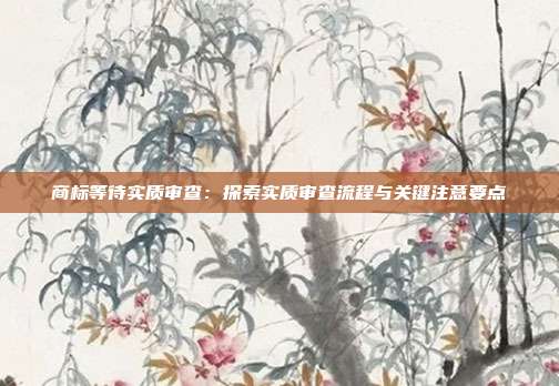 商标等待实质审查:探索实质审查流程与关键注意要点