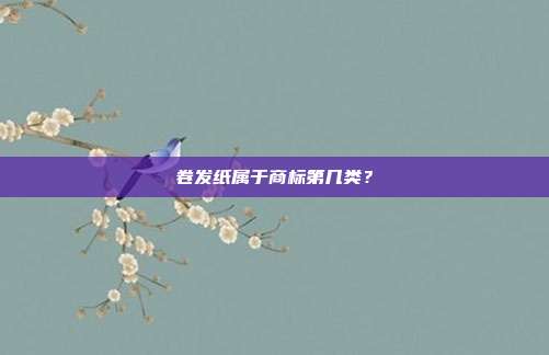 卷发纸属于商标第几类？